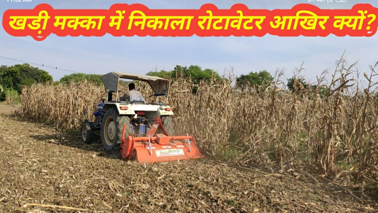 खड़ी मक्का की फसल में निकाला रोटावेटर आखिर ऐसा क्यों किया/maize farming curses by rotavetar