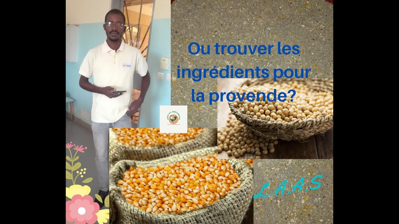 FABRIQUER SA PROVENDE 100% BIO!