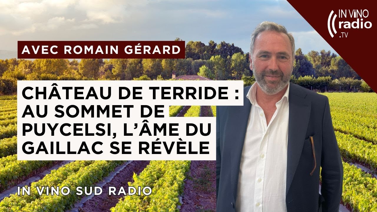 Château de Terride : Au sommet de Puycelsi, l’âme du Gaillac se révèle