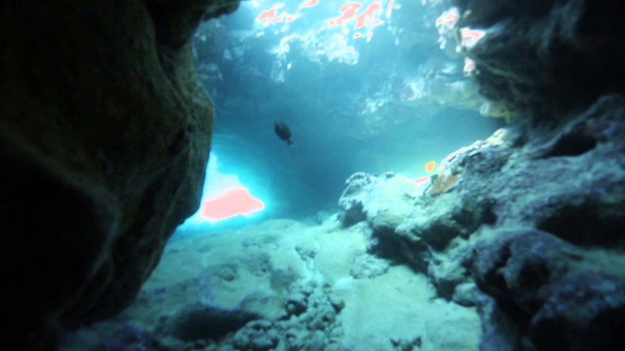 Diving Kailua-Kona's Mile Marker 4 - Lava Tube