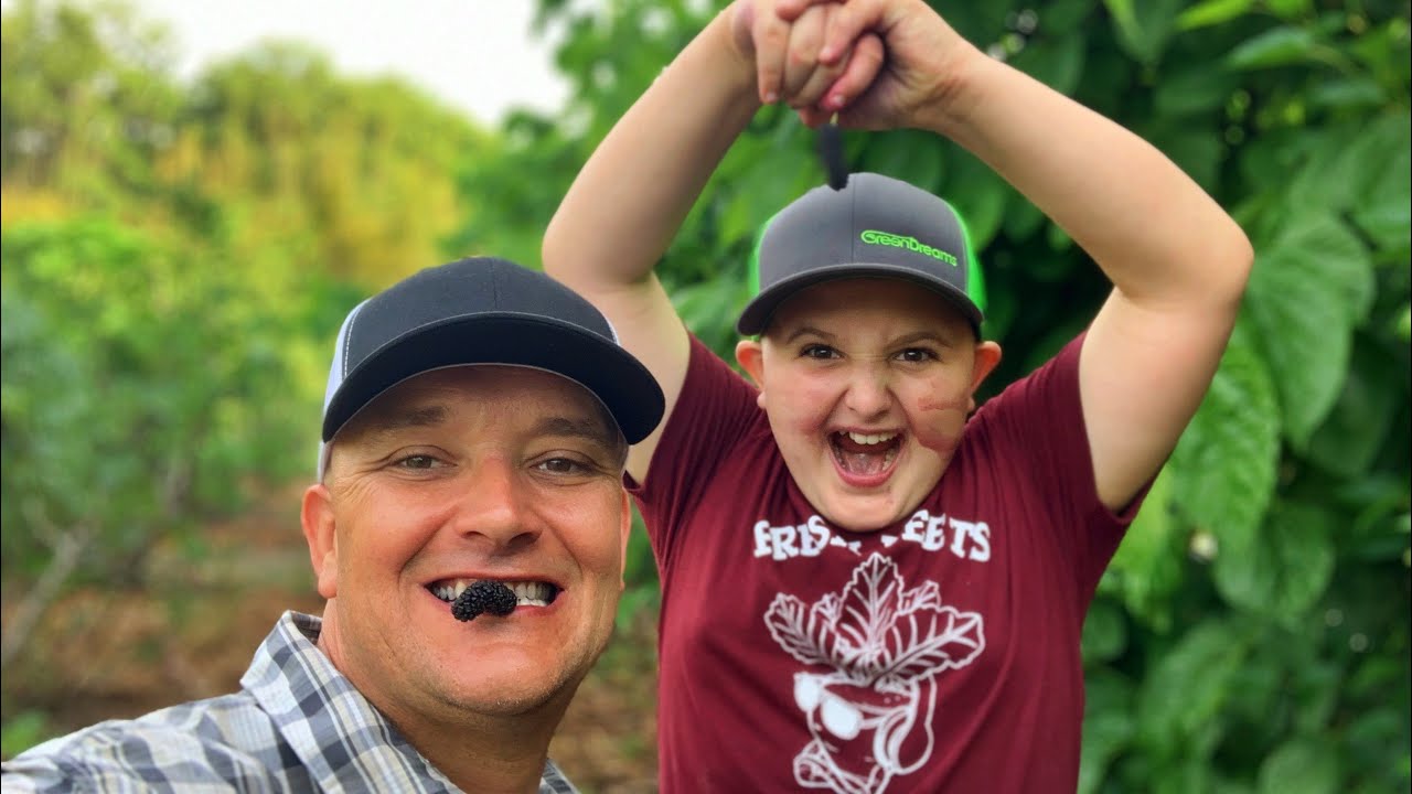 Mulberry Madness Farm Tour! All The Berries You Can Possibly Eat!