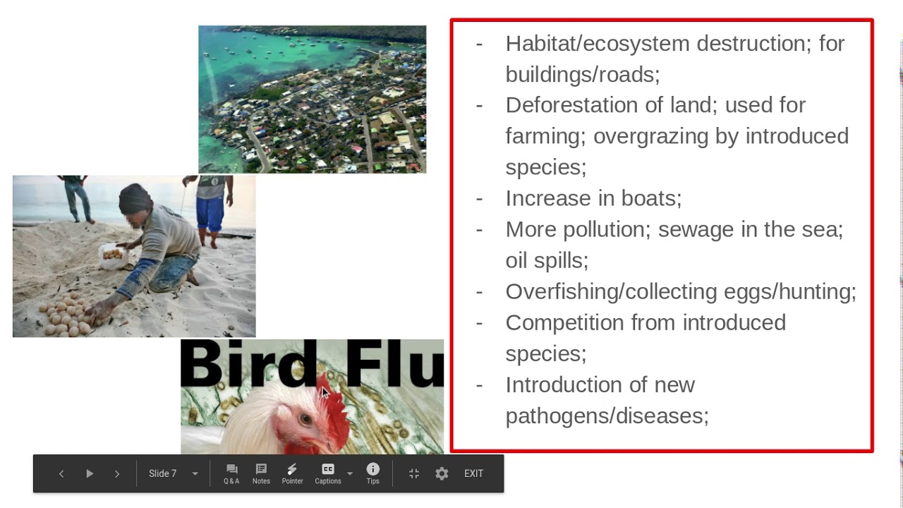 6 3 2  Populations and sustainabilty PART 2 e) Galapagos,  Antarctica, Snowdonia, and the Lakes