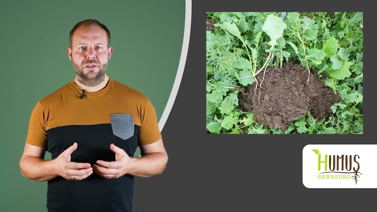 Tipps zur Fruchtfolgeplanung von Manuel B&ouml;hm, HUMUS Bewegung