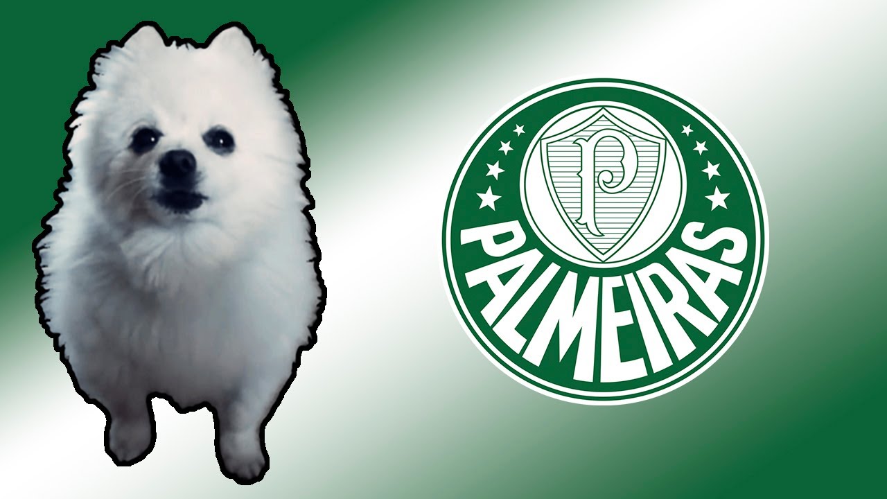 Hino do Palmeiras em cachorrês | FUTEBOL