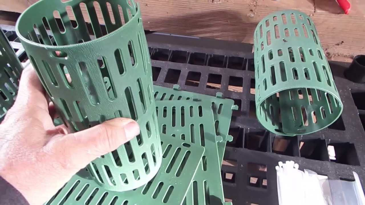 How to protect tree trunk from edge trimmer and animals