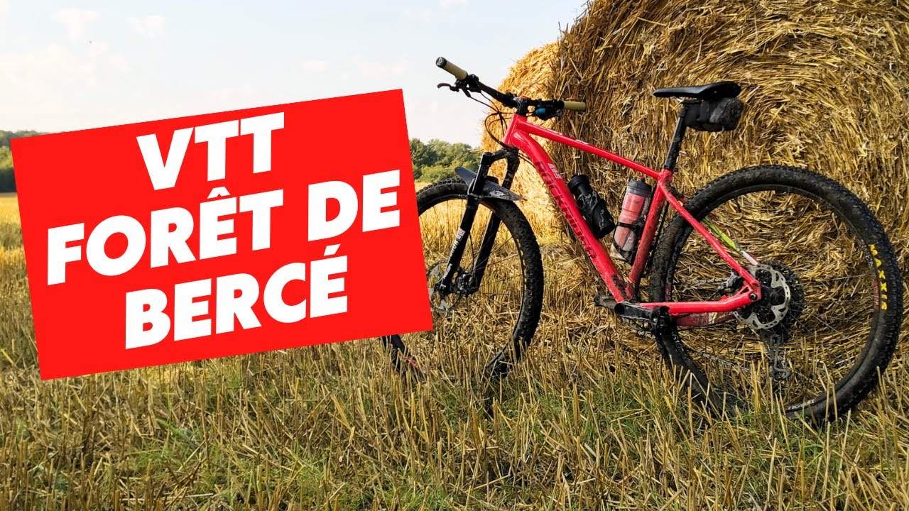 Rando VTT dans la forêt de Bercé
