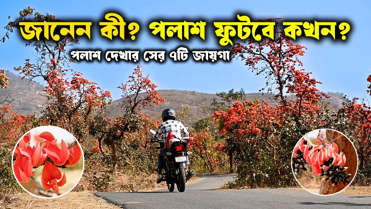 কখন গেলে পলাশ পাবেন? | পলাশ দেখার সেরা ৭টি ঠিকানা | Top 7 Places to Visit for Palash