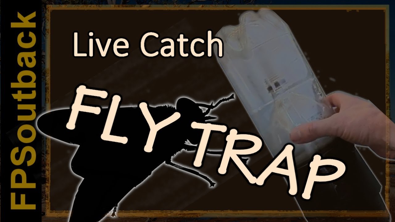 How to Make a Live Catch Fly Trap