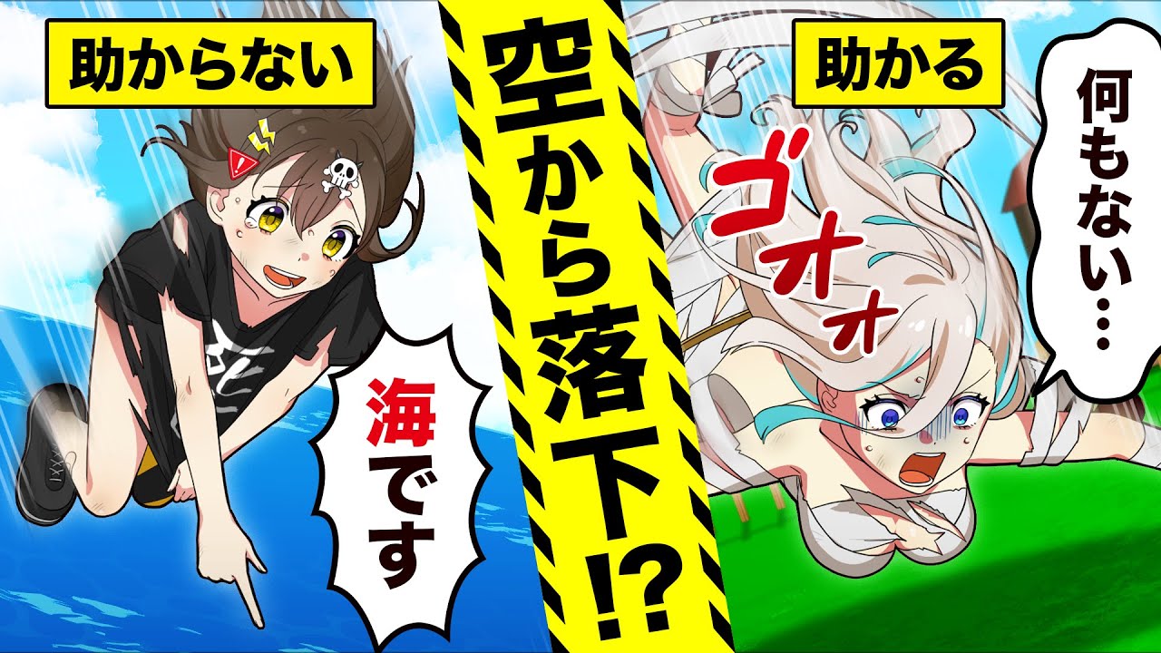 高度1万mの上空から落ちて生き残るにはどうしたらいいのか？【アニメ】【漫画動画】