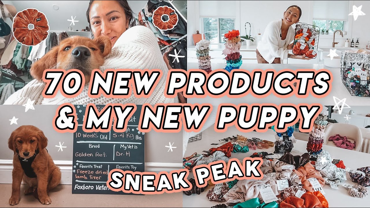STUDIO VLOG #101 🐶 MY NEW PUPPY & NEW PRODUCTS  👀 Fall Collection Product Launch & Name Reveal 🍁🎃🍂