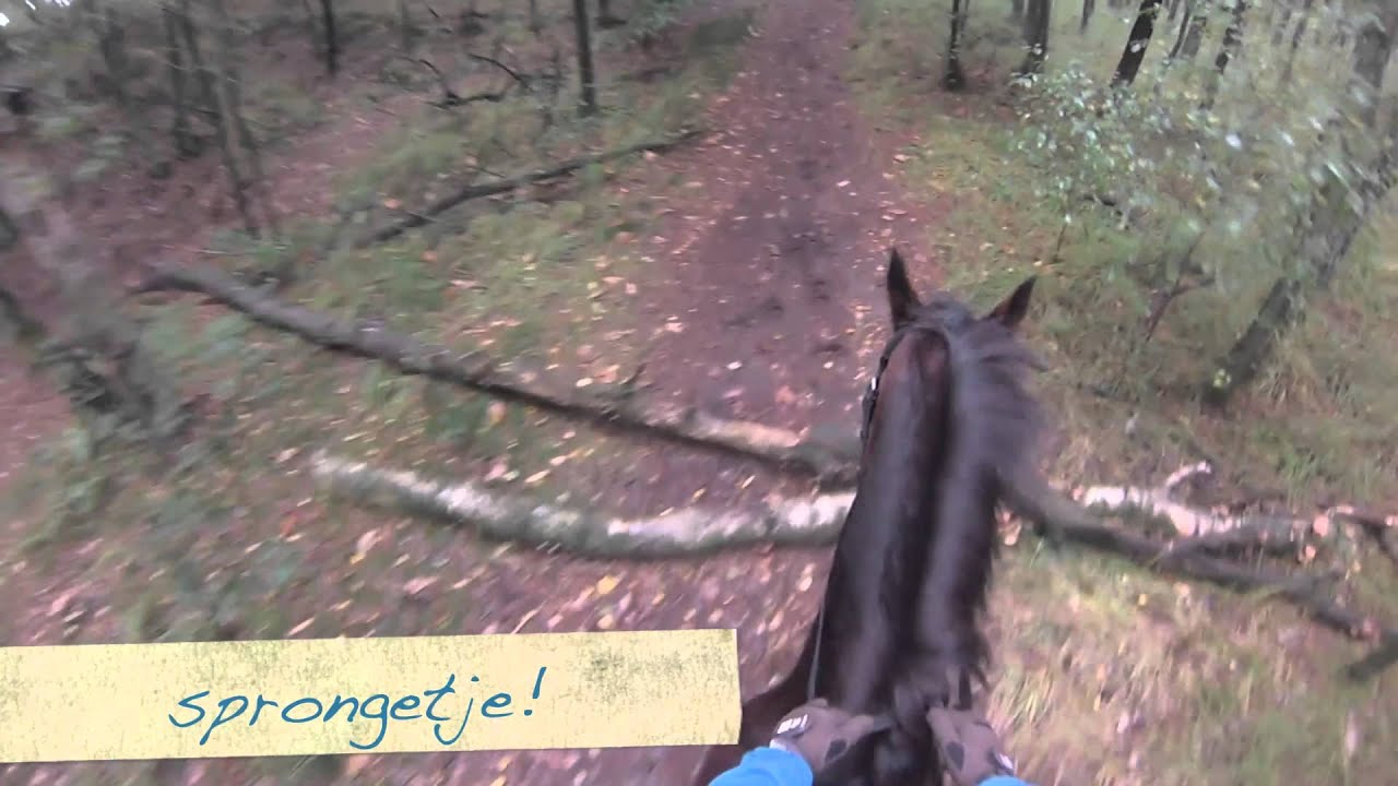Ponykamp 2013