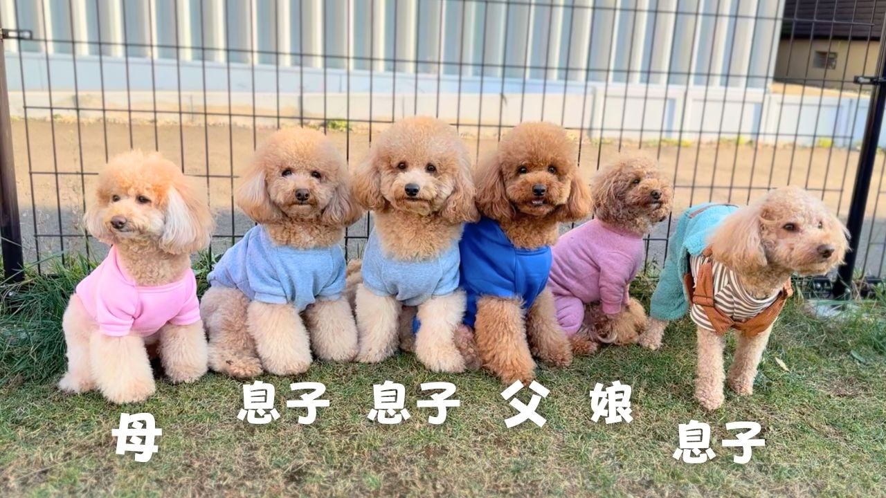 1年ぶりにファミリー会したら1人だけハードゲイなってた 【多頭飼い】