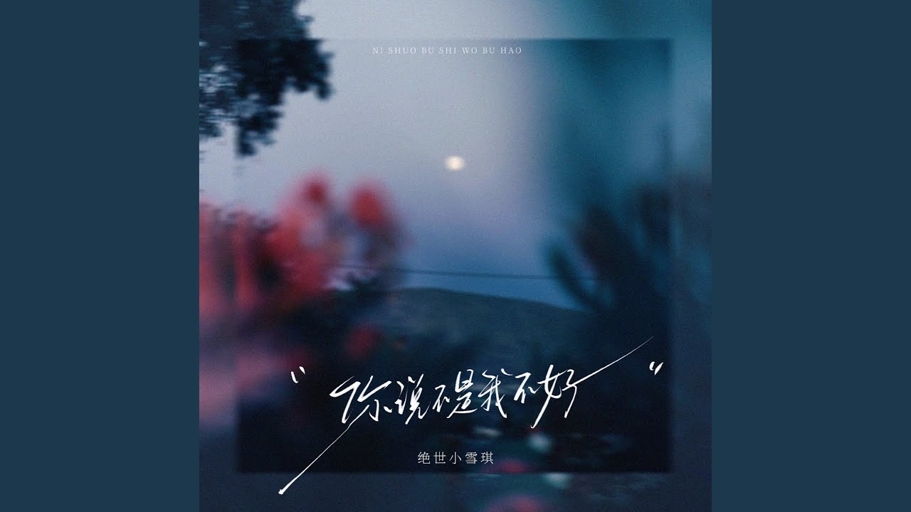 你说不是我不好