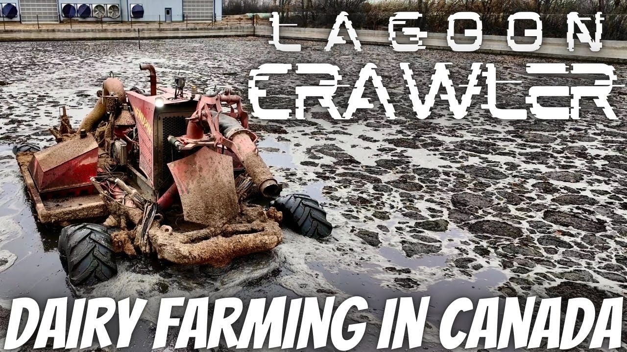 What is a Lagoon Crawler and why do we NEED IT!