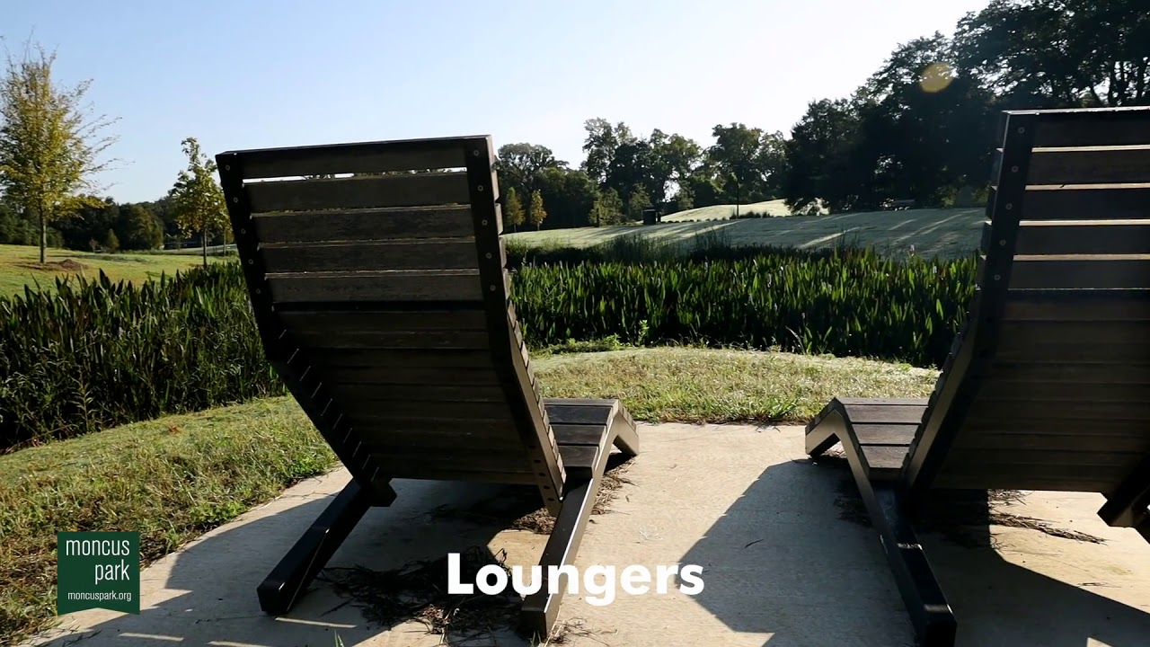 Moncus Park Virtual Tour - Fall 2020