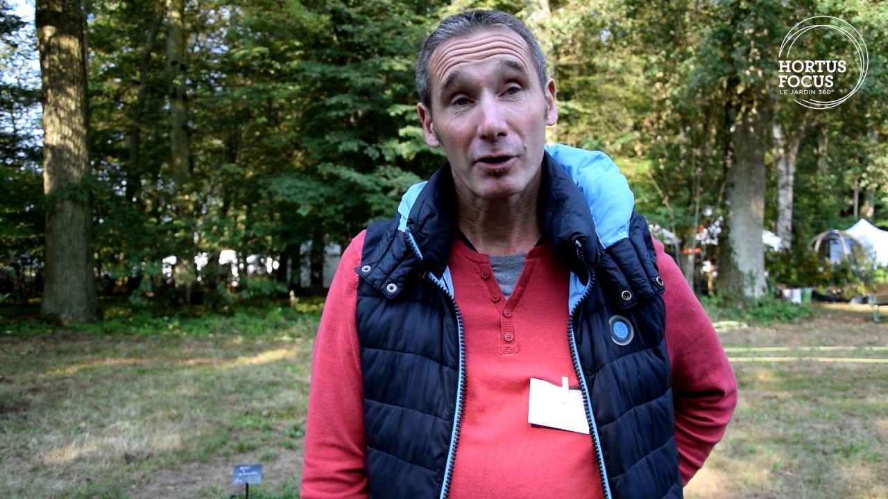 Conseil d'experts : comment cultiver la rhubarbe rouge