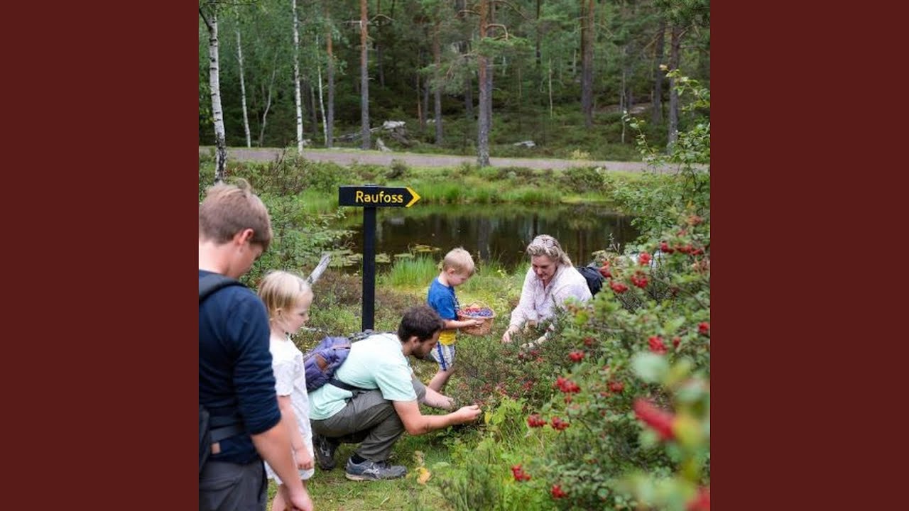 På tur i skog og mark