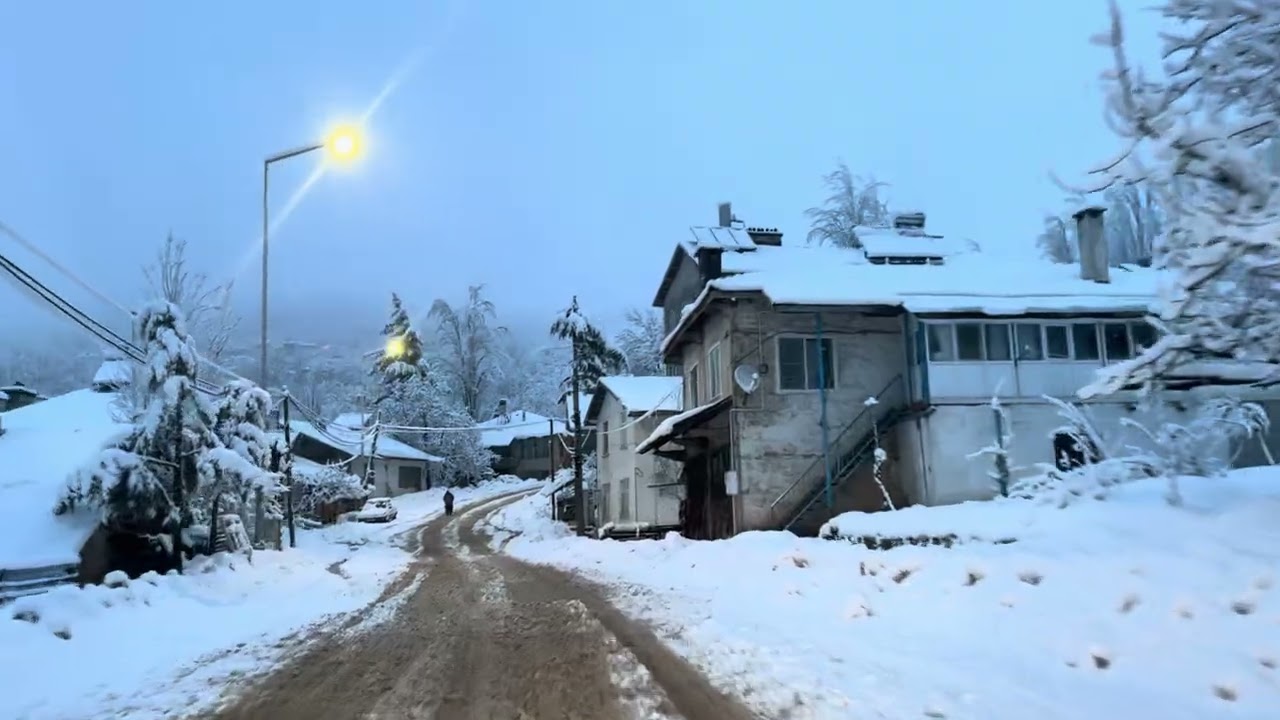 Sarıveliler 