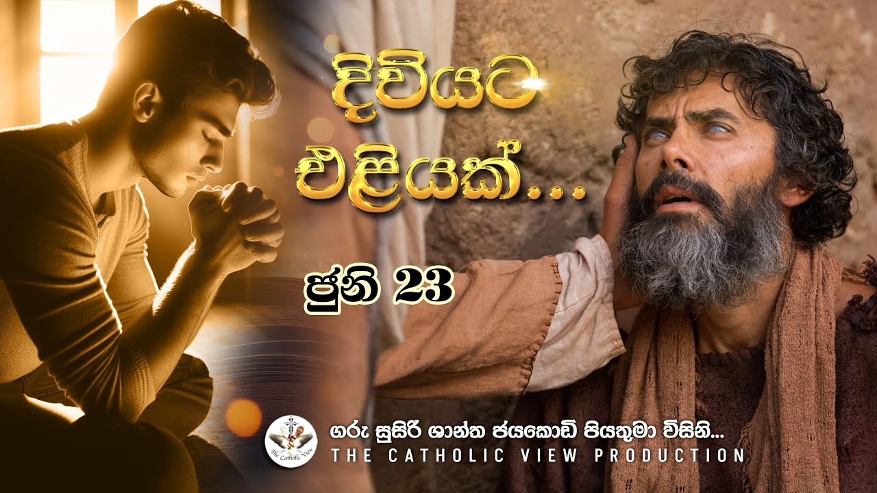 Sinhala Reflection | Daily Reflection 23rd June | Daily Sinhala Message | The Catholic View