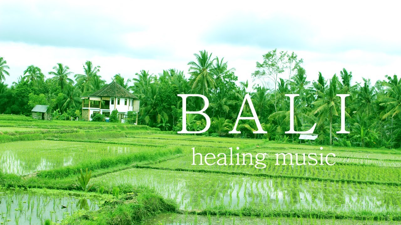 ASMR 발리의 시작! 논밭뷰를 바라보며  힐링 발리 음악 감상  | Bali Spa & massage Music  | Relaxing music | Meditation music