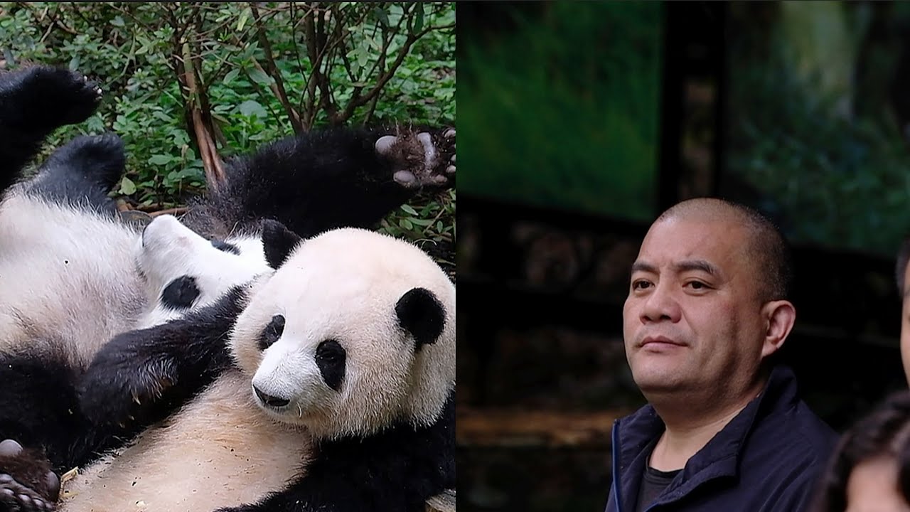 24.10.12 爷爷无语了：花花就坐你面前都看不到啊？哈哈哈😆