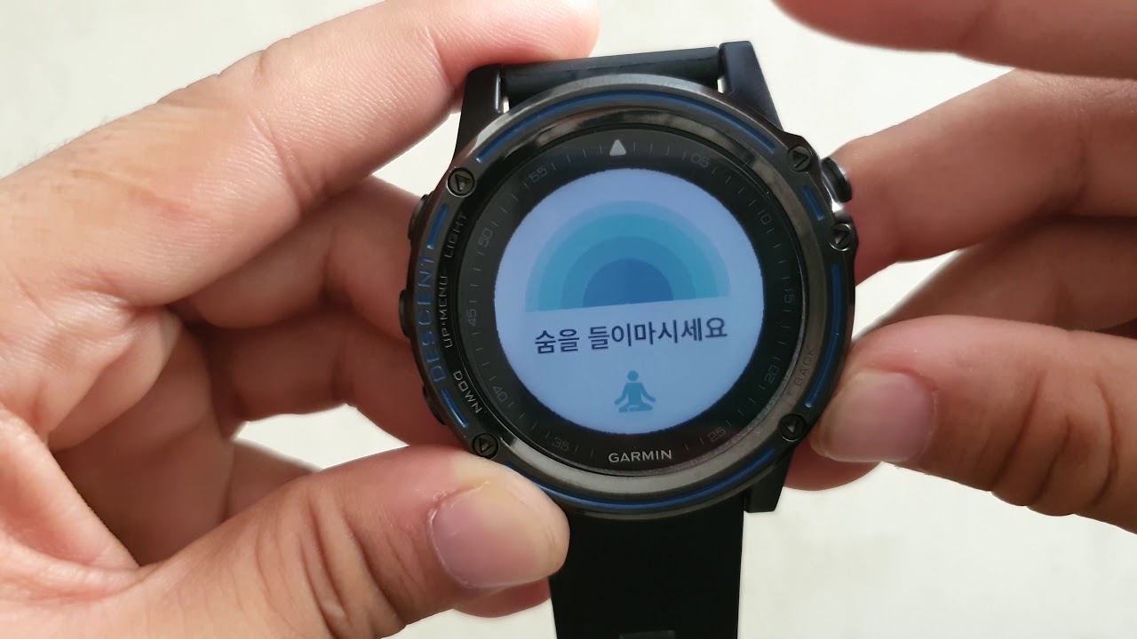 [가민 디센트 mk1 티타늄] 프리다이빙 스쿠버 컴퓨터 추천