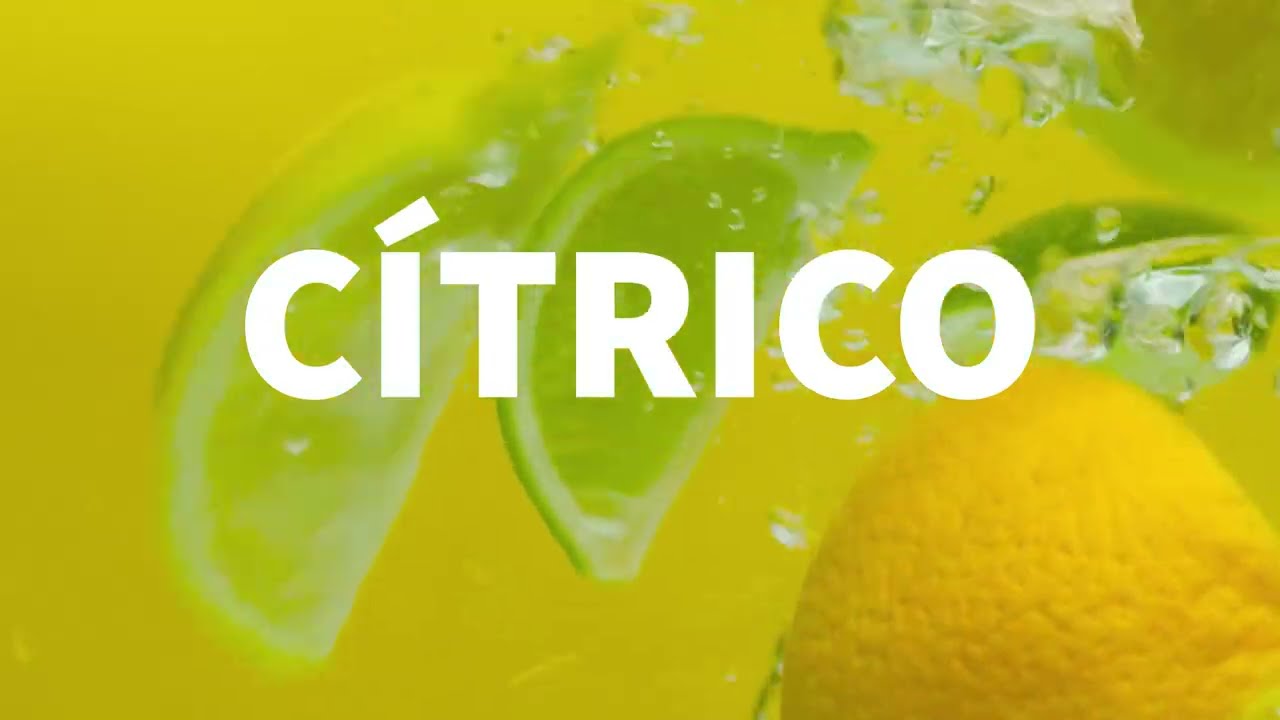 Equivalenza Portugal -  Perfumes