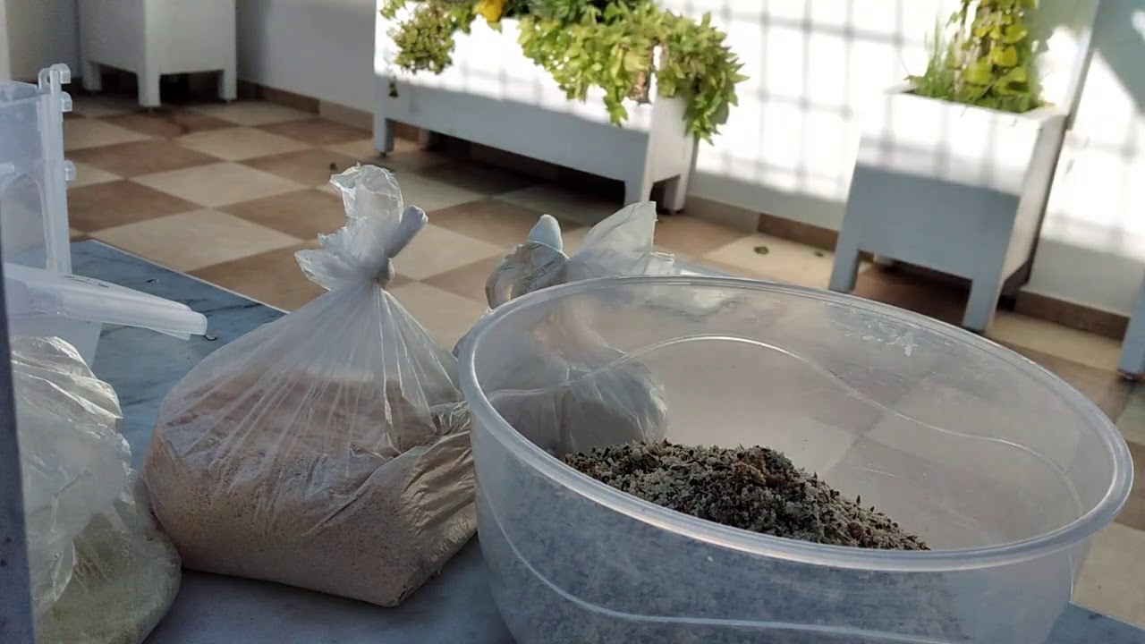 مرحلة تجهيز الحسون [17]