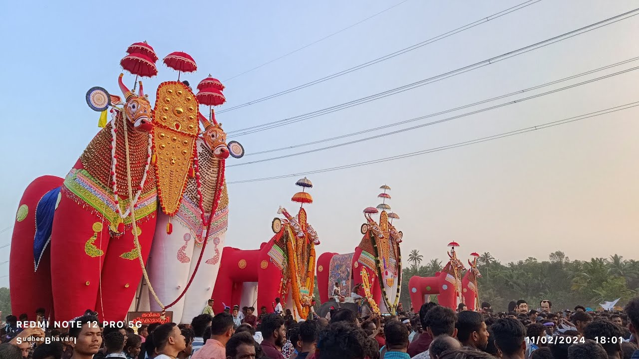 ചുനക്കര ആറാട്ട് 2024 part 2 #chunakkara  #mahadevatemple