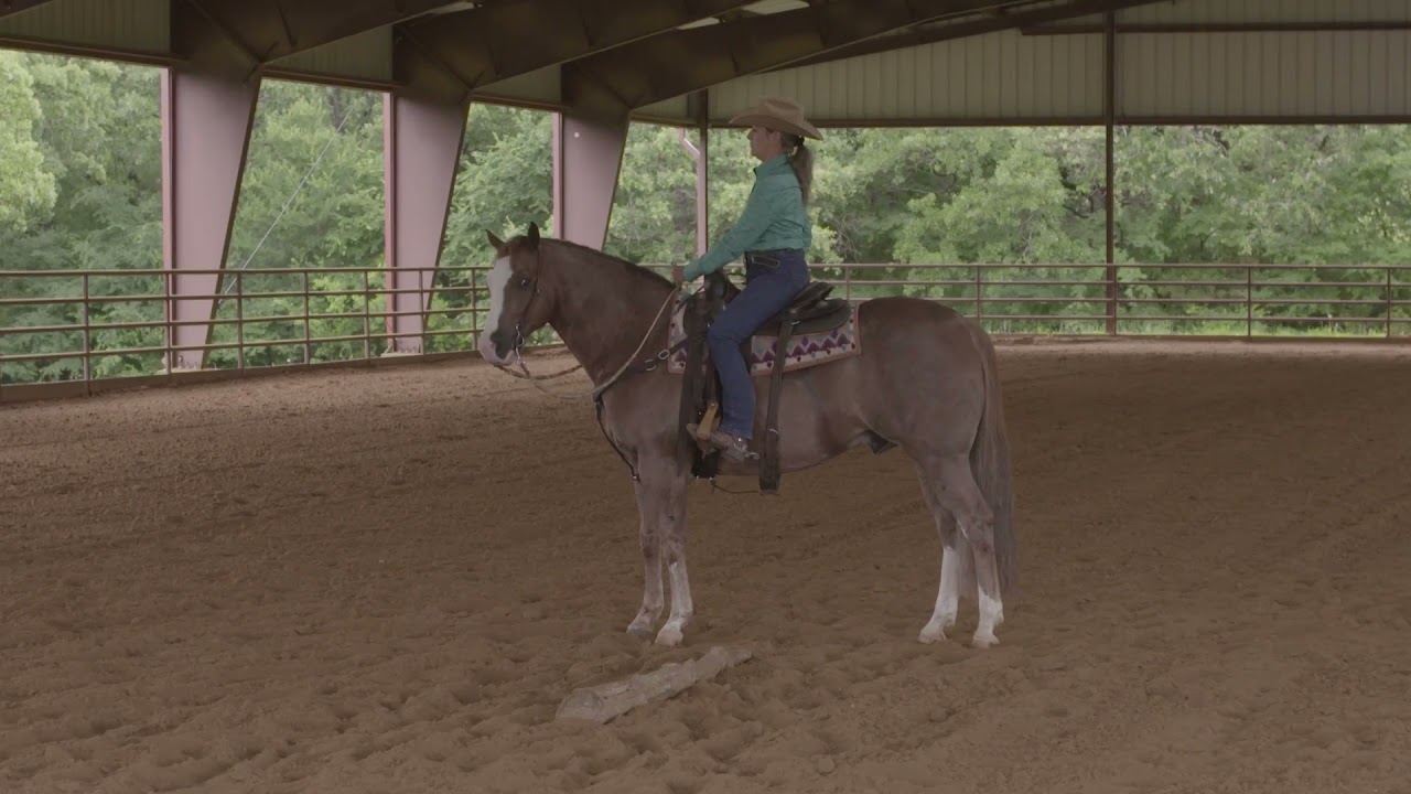 Bud Lyon: Schooling Ranch Riding Obstacles