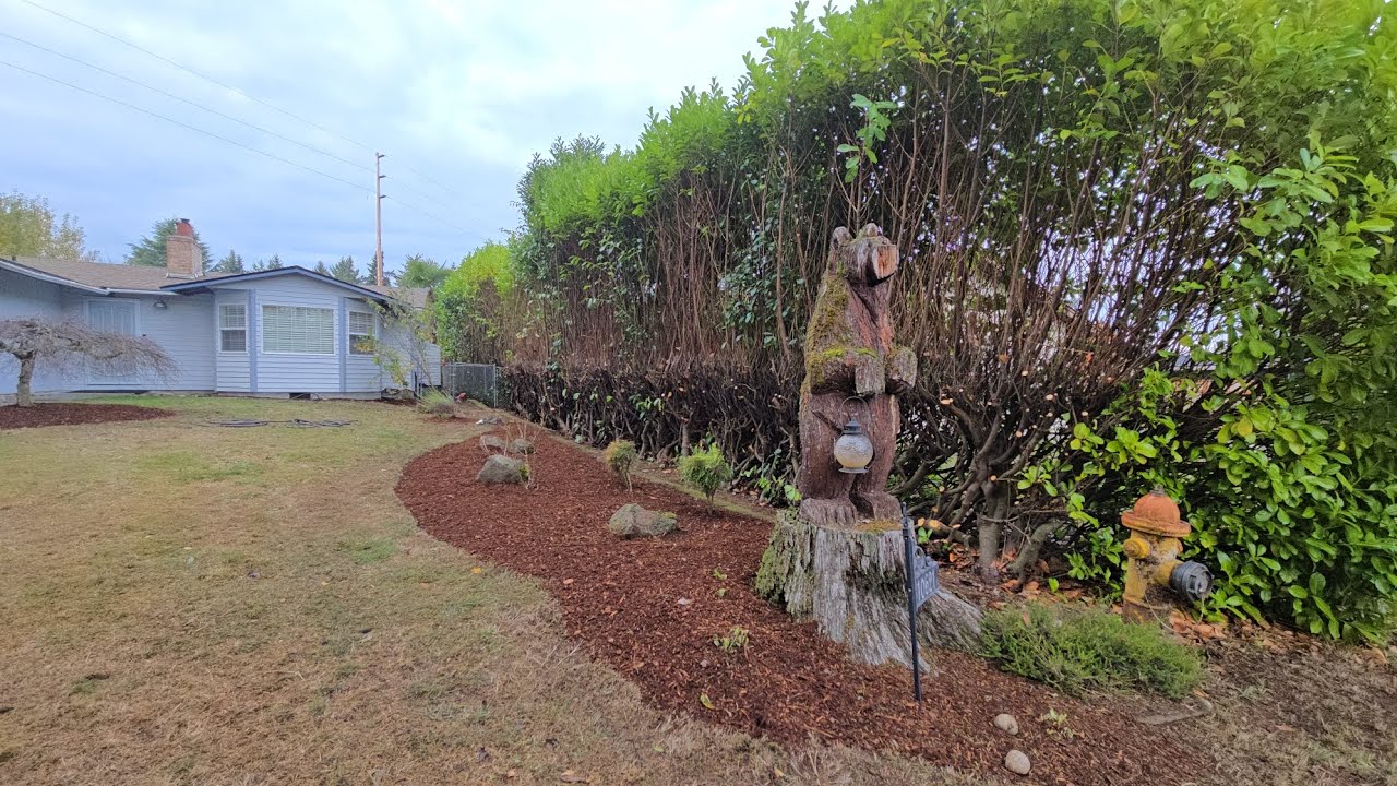 Limpiando el Jardin.