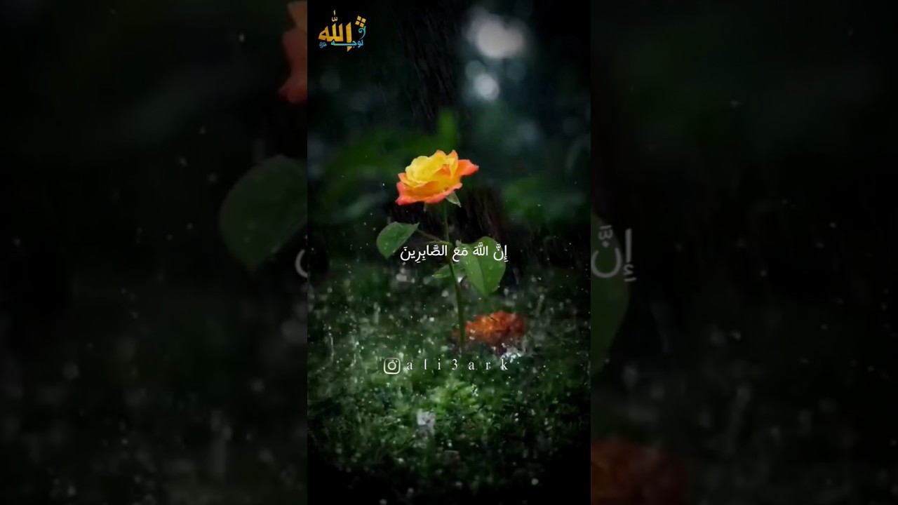 رسالة لك 📝 الصبر على تأخر الاستجابة #علي_رائد