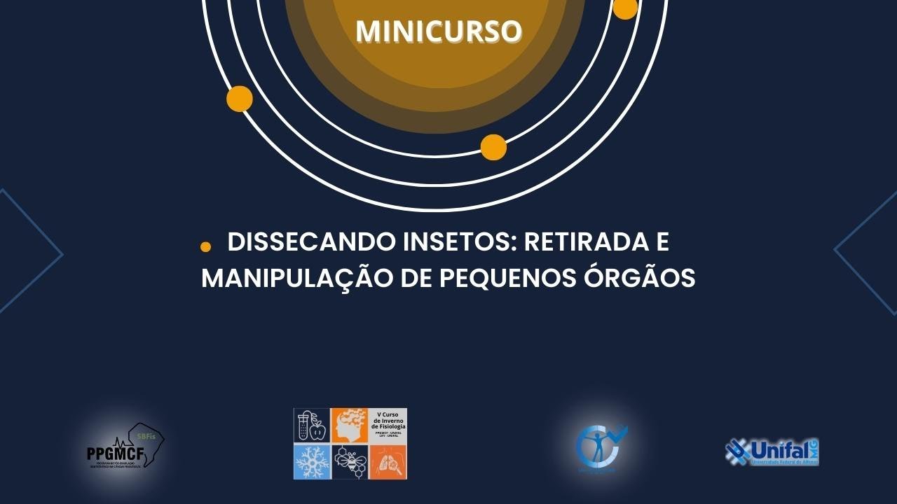 Minicurso 3