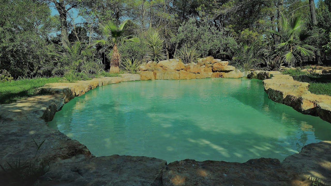 Construction piscine tr&egrave;s naturelle avec cascade