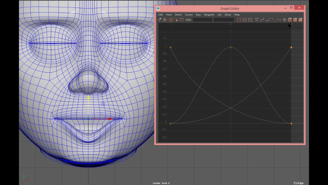 Splitting Weights With AnimCurves