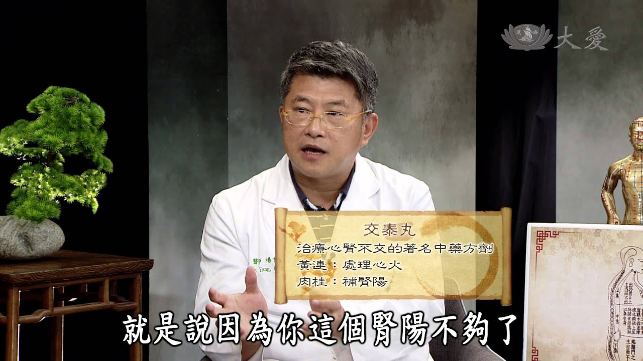 【看中醫】20150207 - 臟腑辨證＋氣血辨證