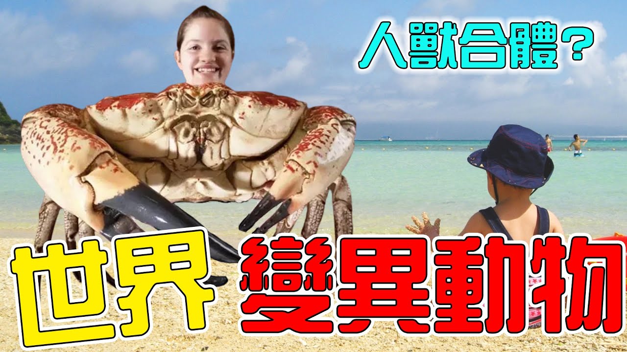世界最驚人的10名變異動物！人類和牛生下的奇怪物種？科學家至今無法解釋！|#盤點 #top #top10 #出類拔萃 #動物