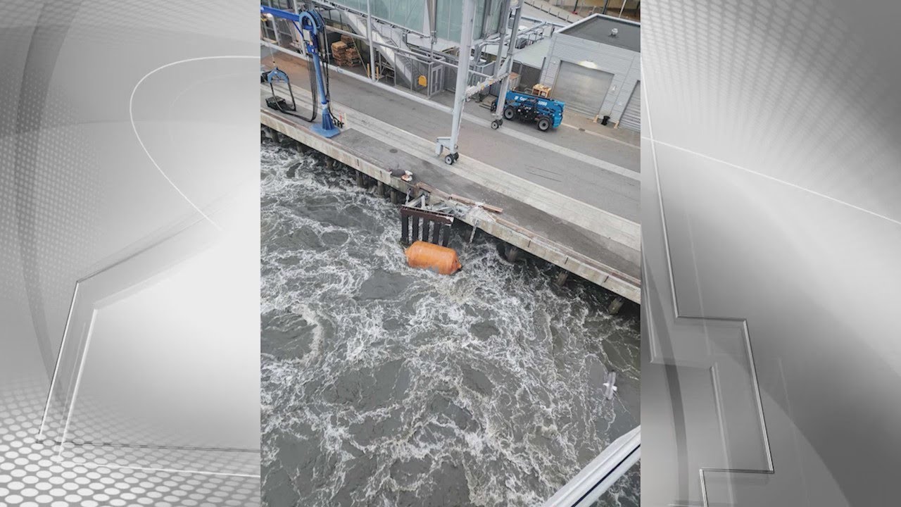 Latest on 'Ruby Princess' cruise ship crashing into Pier 27