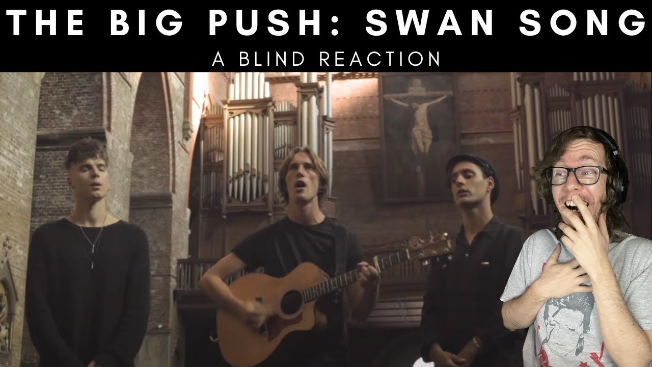 The Big Push - Swan Song (A Blind Reaction)