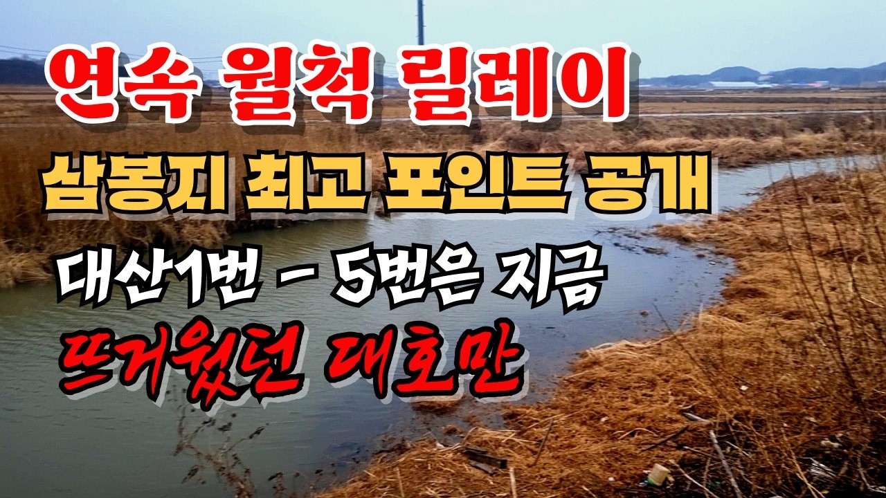 월척 릴레이가 이어진다  삼봉지  봄철 최고 포인트 안내  대호만은 지금