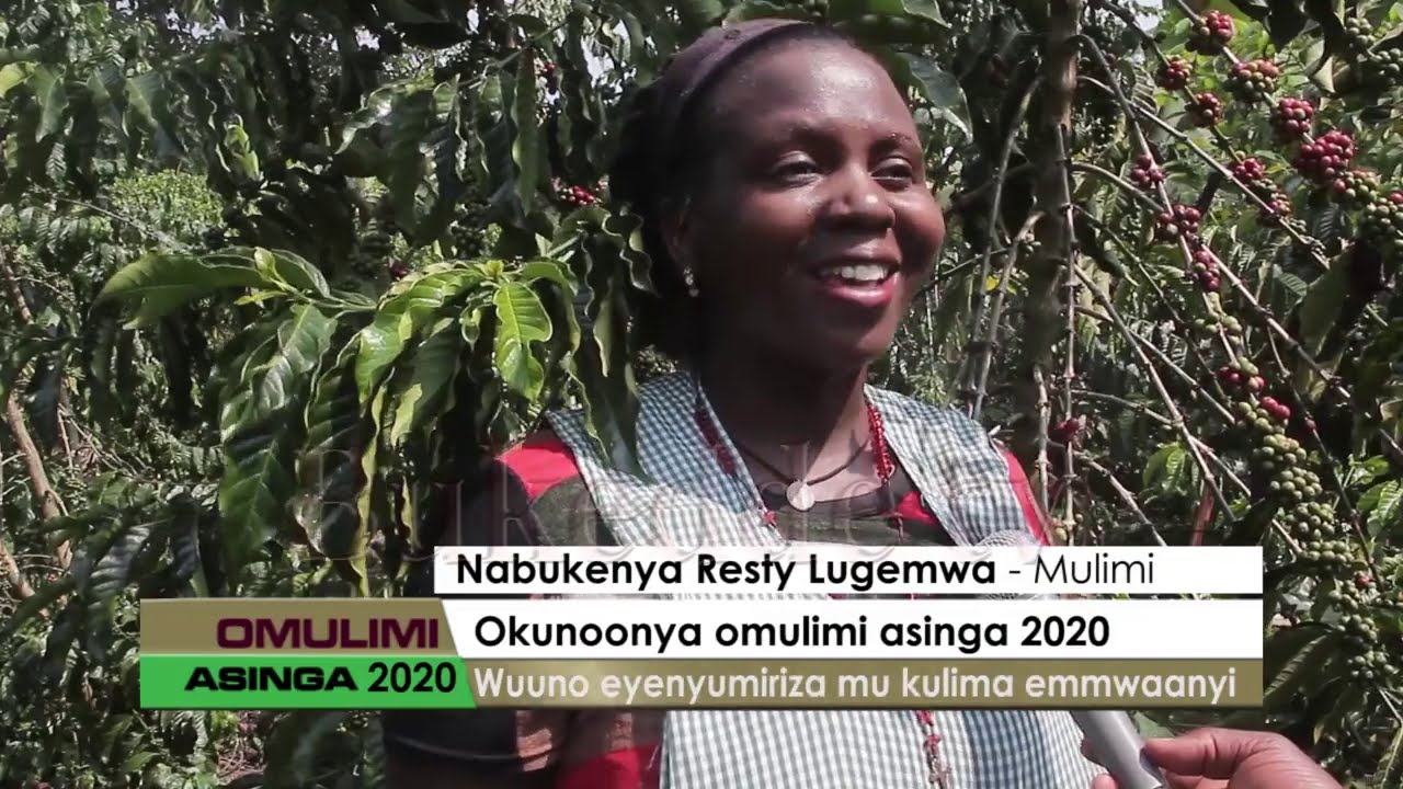 Agataliikonfuufu:Okunoonya omulimi asinga 2020,Wuuno eyenyumiriza mu kulima emmwaanyi