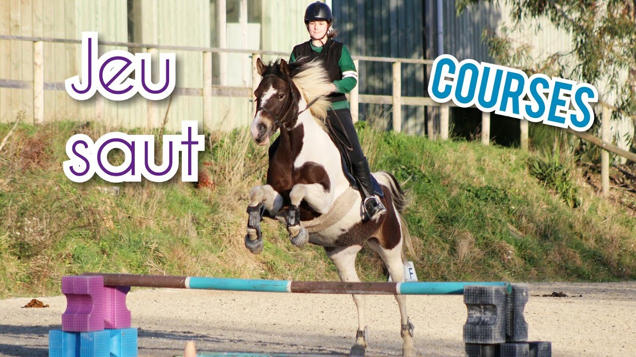 DU GRAND N'IMPORTE QUOI... |Hippodrome obstacle|