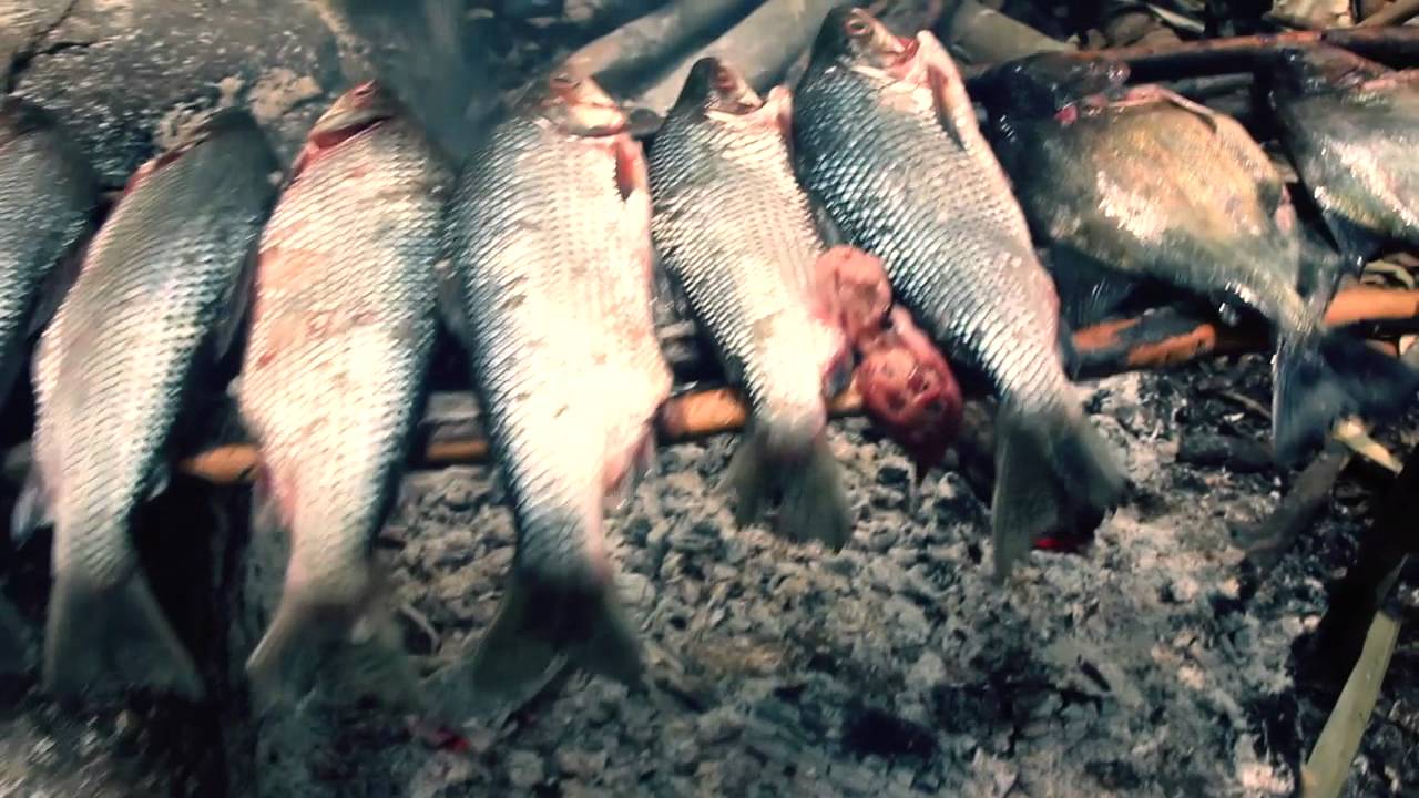 Jungle Survival | Elite Survival Training