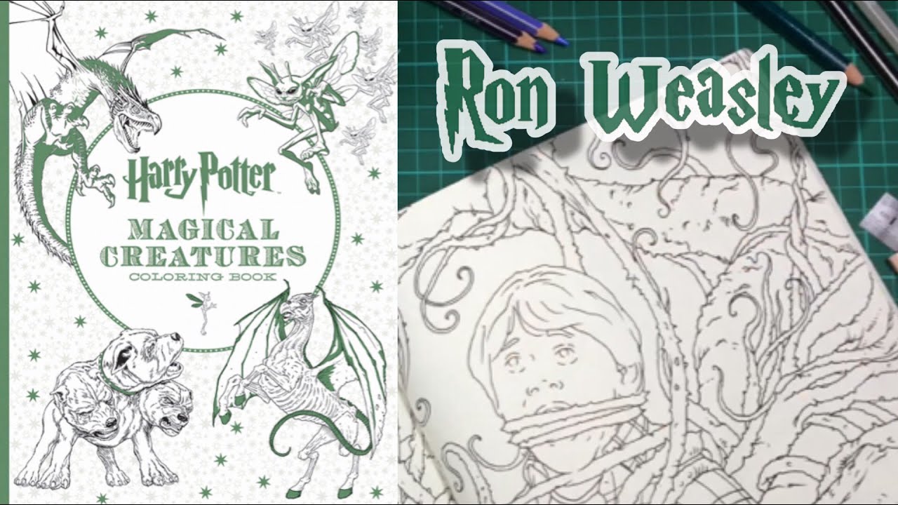 Harry Potter Magical Creatures Coloring Book - Speed Colouring