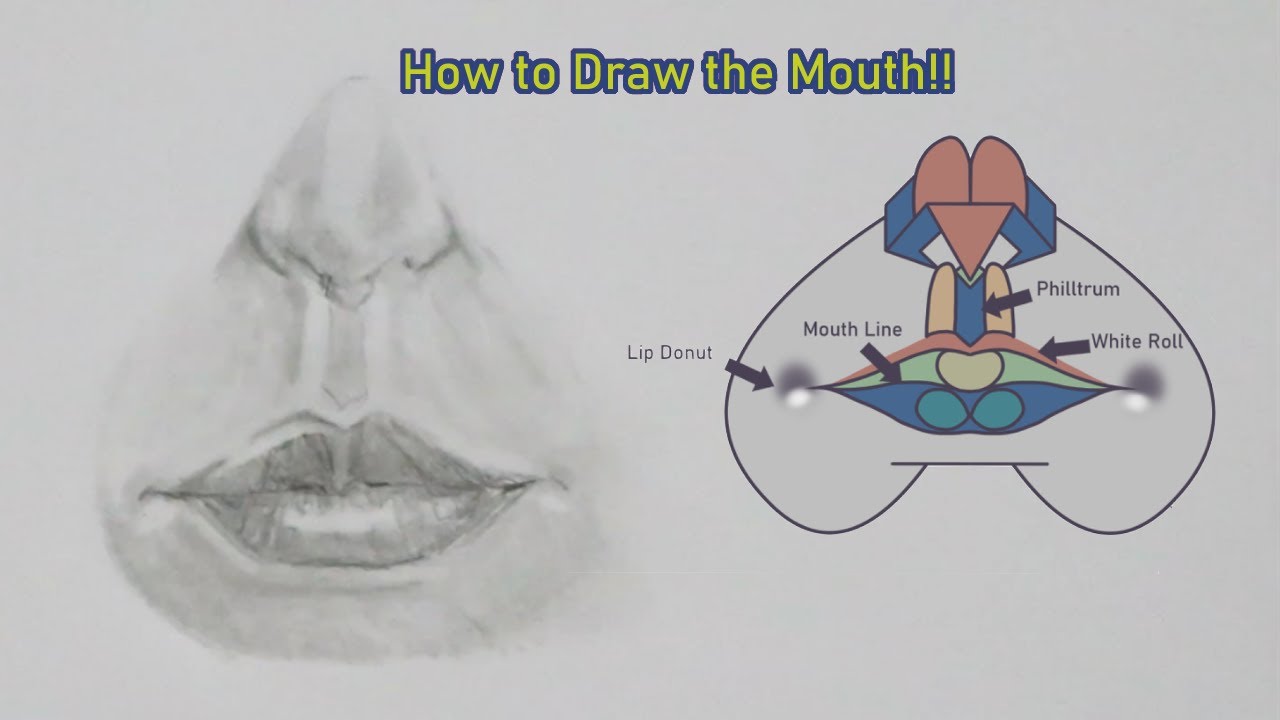 6 - How to Draw the Mouth | How to Draw the Head