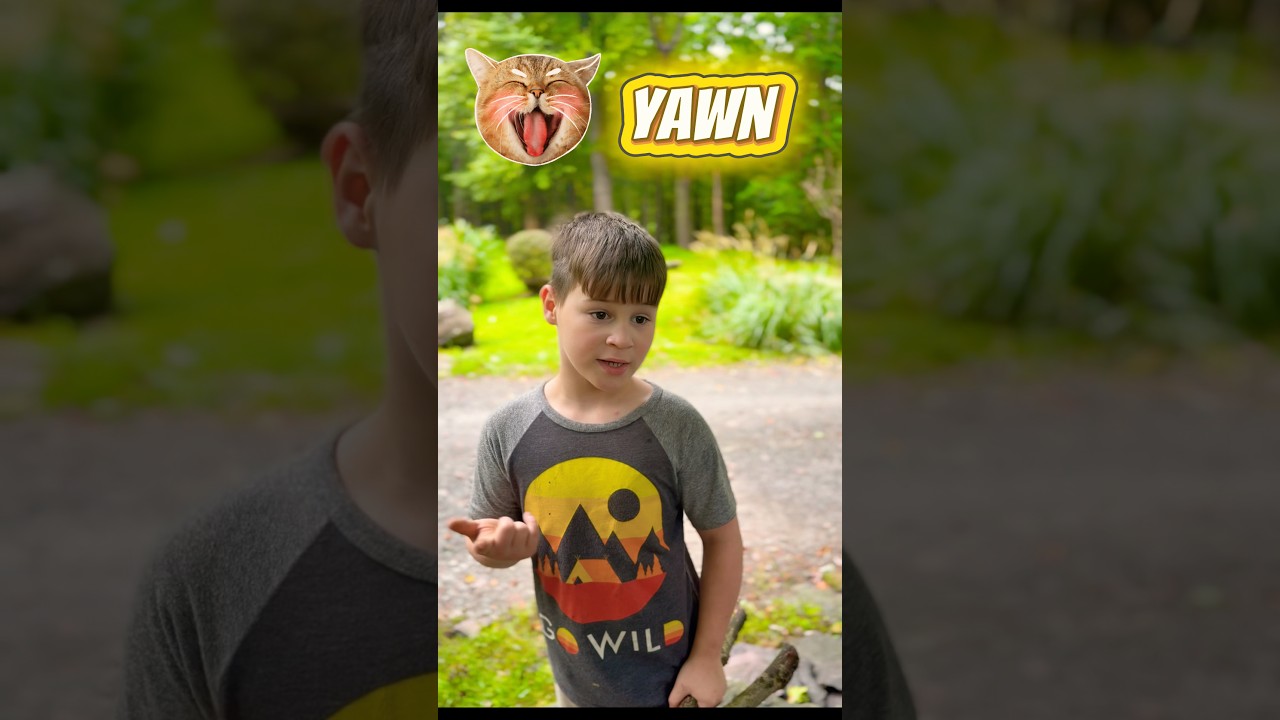 Triple Trouble Boys the Letter Y! 🟡Words That Start With Y #lettersforkids #kidsyoutube #learning