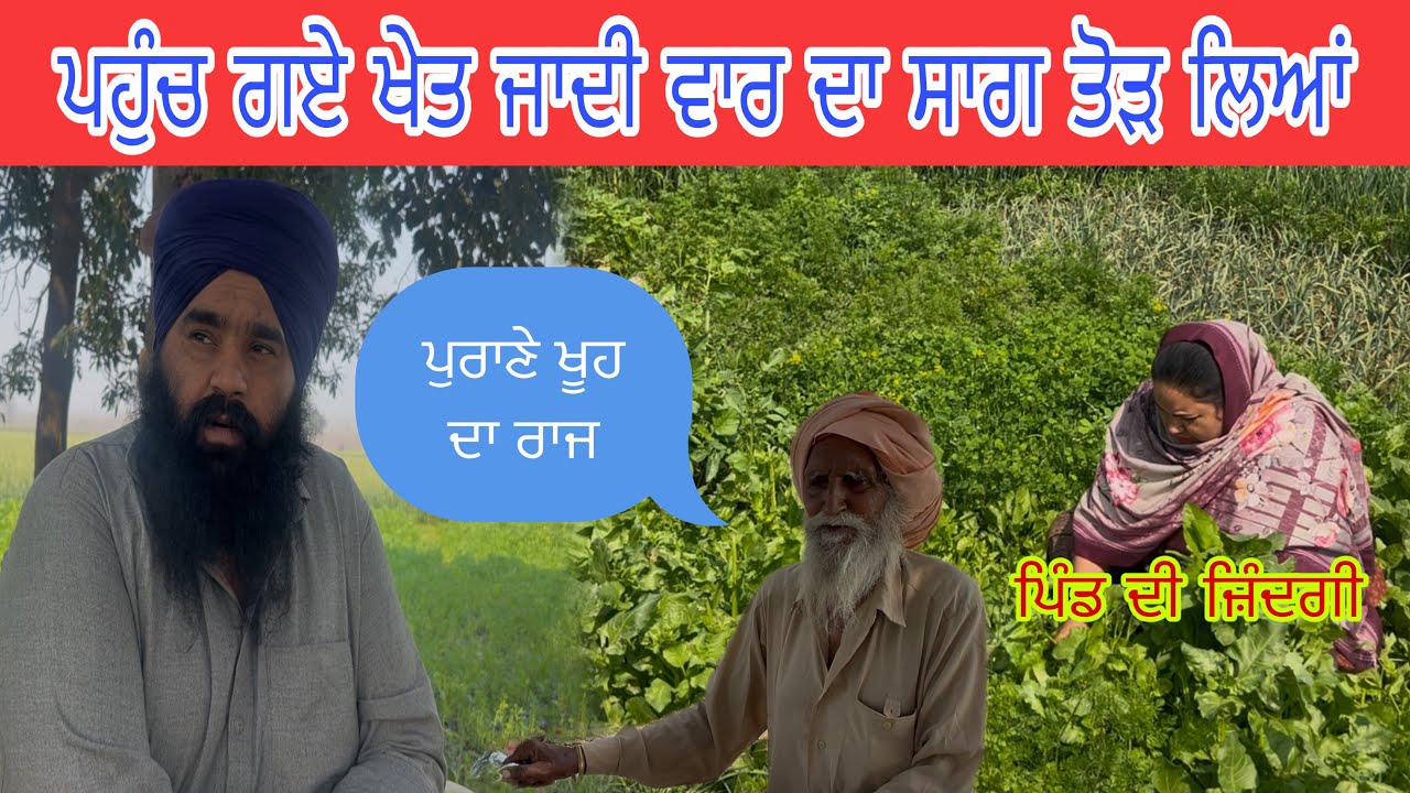 ਬਣਾਉਣਾ ਸੀ ਸਾਗ ਲਗਦਾ ਬਣੂ ਪਾਲਕ ਪਨੀਰ😎Village Life Punjab✅Sarbjit Vloger📷🙏❤️