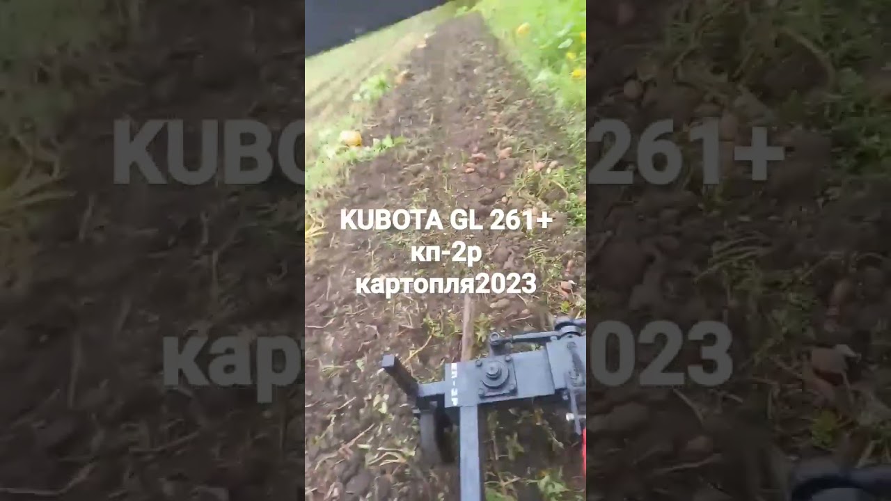 kubota gl 261 i картопле копачка КП-2Р 2023 р #kubotatraktor #кубота
