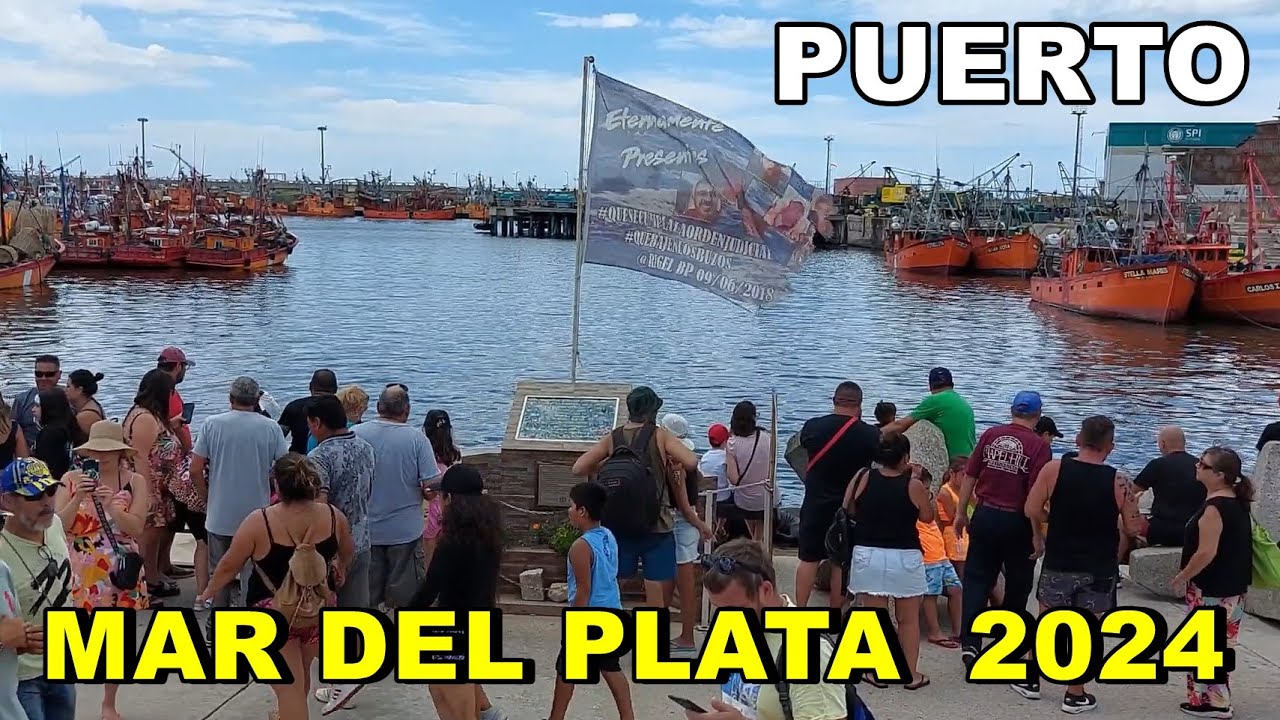 RECORRIENDO EL PUERTO DE MAR DEL PLATA | NEGOCIOS | LOBOS MARINOS Y EMBARCACIONES