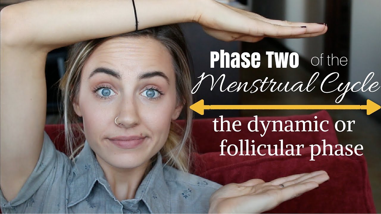 Phase Two of the Menstrual Cycle || Follicular Phase || Dynamic Phase